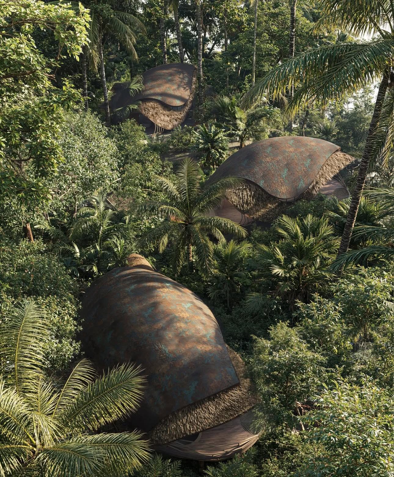 Pod cluster aerial jungle